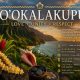 HO’OKALAKUPUA